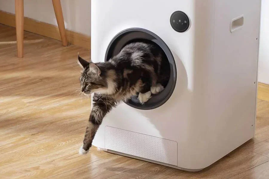 litterbox for cat
