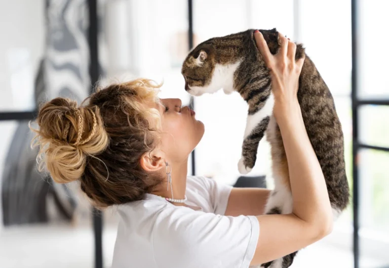 best camera for pets at home