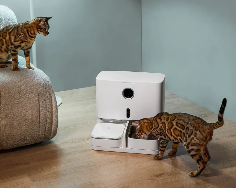 best automatic pet feeder with camera