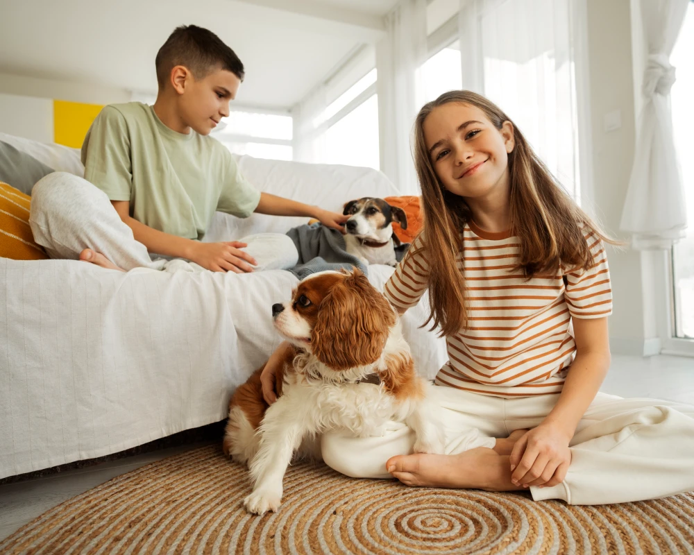 automatic pet water feeder