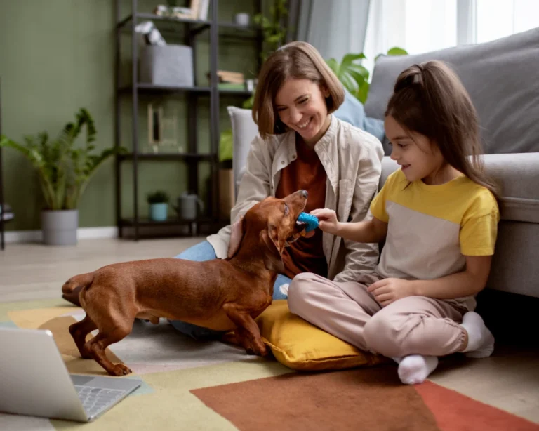 pet feeder with camera